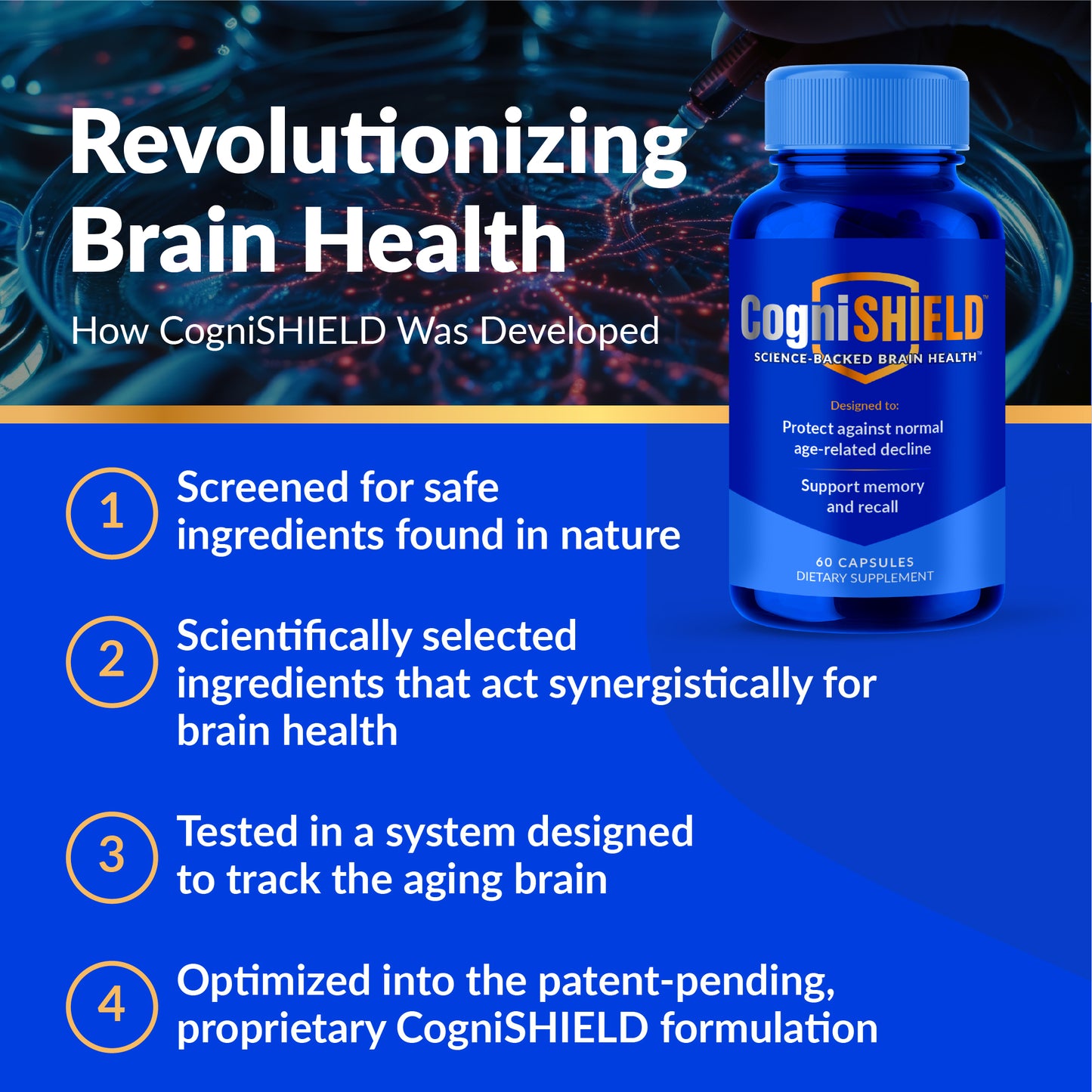 CogniSHIELD brain health supplement bottle with development steps listed on a blue background