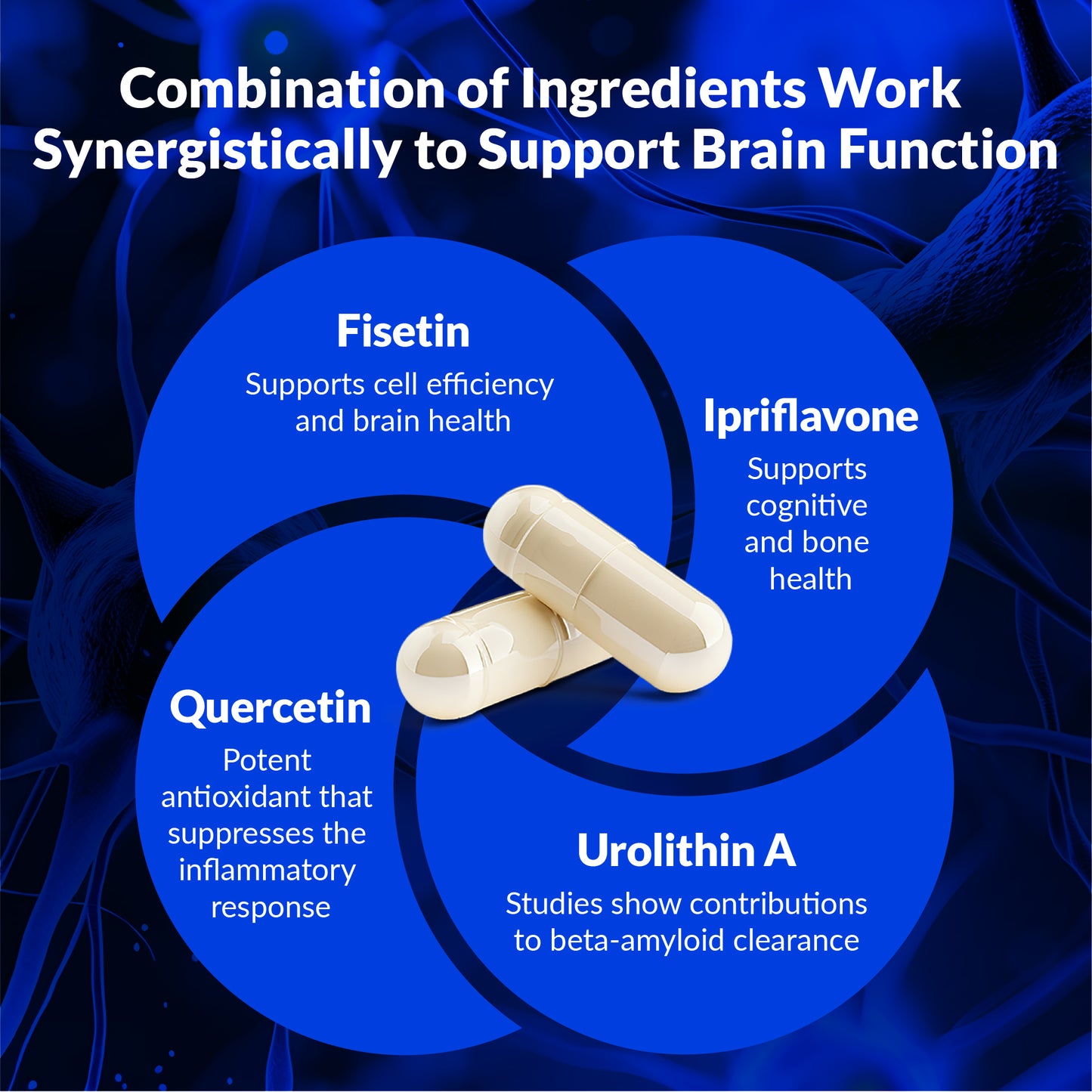 Diagram of brain health ingredients with capsules and text on a blue background