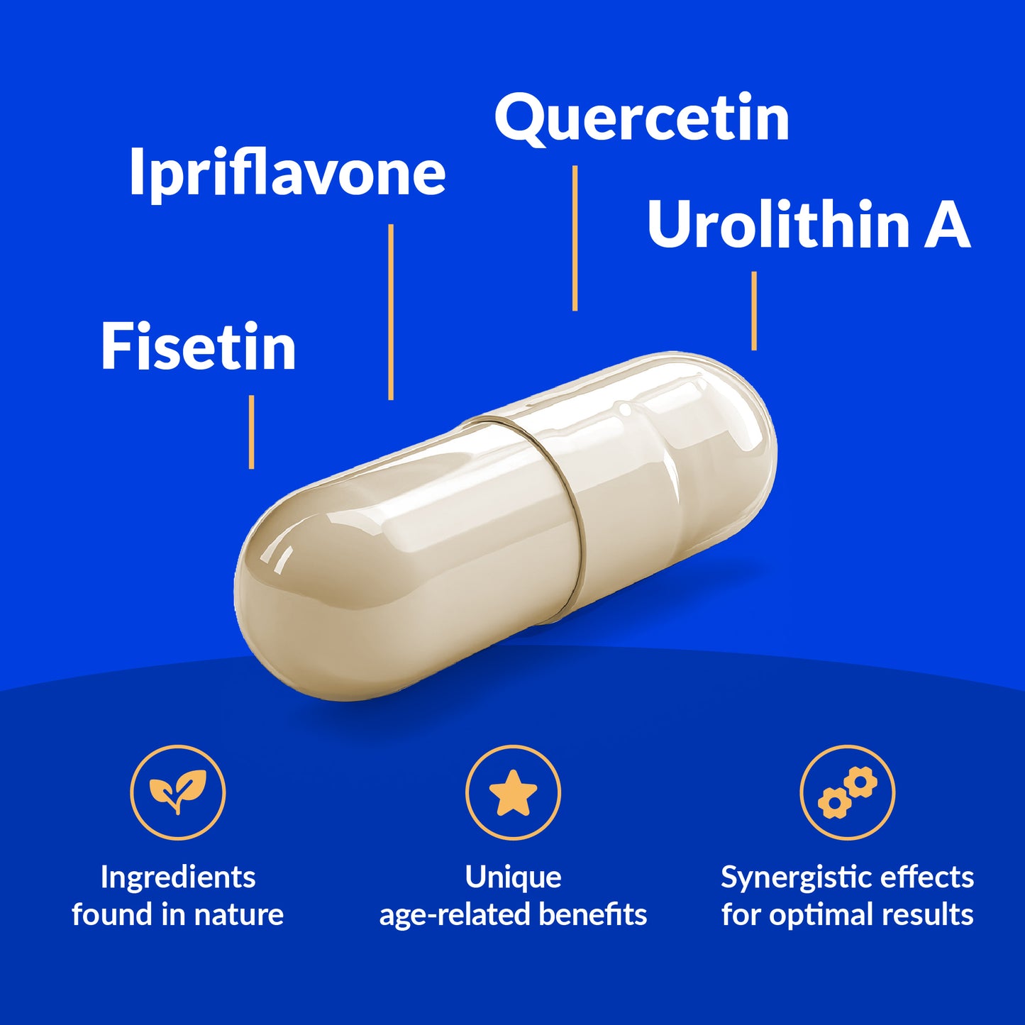 Capsule with ingredients Ipriflavone, Quercetin, Urolithin A, and Fisetin on a blue background