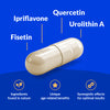 Capsule with ingredients Ipriflavone, Quercetin, Urolithin A, and Fisetin on a blue background
