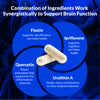 Diagram of brain health ingredients with capsules and text on a blue background