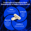 CogniSHIELD™ Science-Backed Brain Health™ Supplement