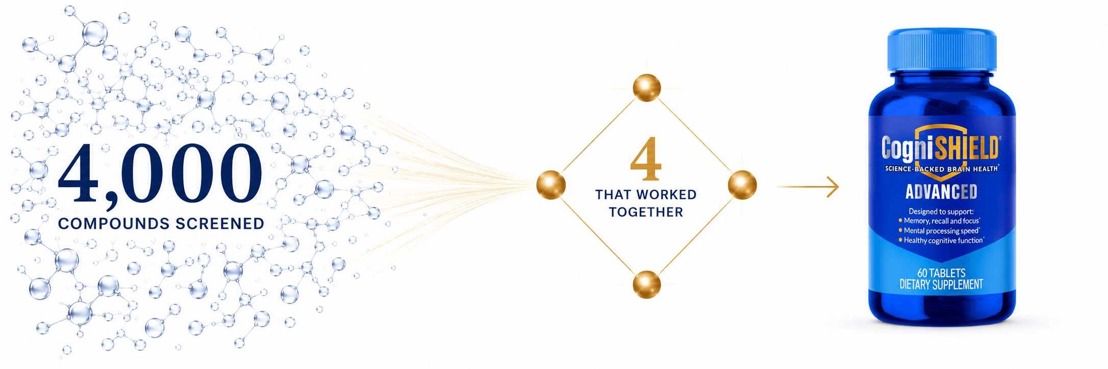 Four thousand compounds screened to identify four compounds that work together in CogniSHIELD® Advanced